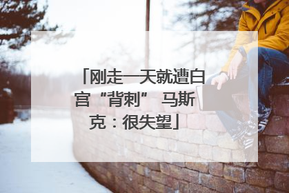 刚走一天就遭白宫“背刺” 马斯克：很失望