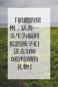初夏的常州，认养一头牛为福利院的孩子们送去1000份特别的礼物