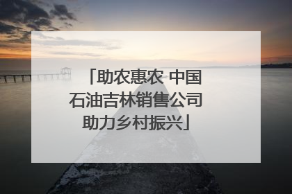 助农惠农 中国石油吉林销售公司助力乡村振兴