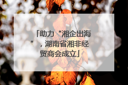 助力“湘企出海”，湖南省湘非经贸商会成立