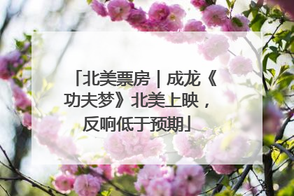 北美票房｜成龙《功夫梦》北美上映，反响低于预期