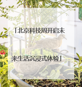 北京科技周开启未来生活沉浸式体验