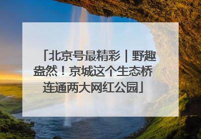 北京号最精彩｜野趣盎然！京城这个生态桥连通两大网红公园