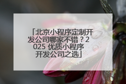 北京小程序定制开发公司哪家不错？2025 优质小程序开发公司之选