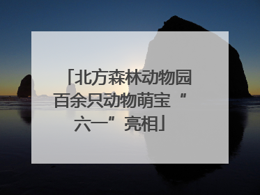 北方森林动物园百余只动物萌宝“六一”亮相