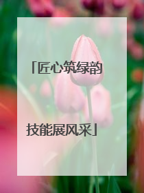 匠心筑绿韵 技能展风采