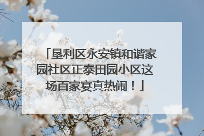 垦利区永安镇和谐家园社区正泰田园小区这场百家宴真热闹！