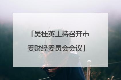 吴桂英主持召开市委财经委员会会议