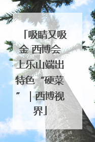 吸睛又吸金 西博会上乐山端出特色“硬菜”｜西博视界