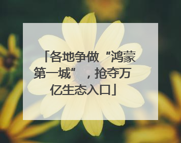 各地争做“鸿蒙第一城”，抢夺万亿生态入口
