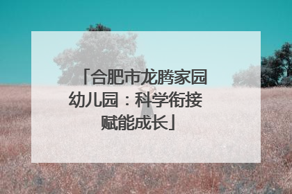 合肥市龙腾家园幼儿园：科学衔接 赋能成长