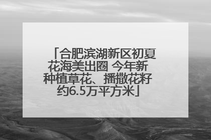 合肥滨湖新区初夏花海美出圈 今年新种植草花、播撒花籽约6.5万平方米