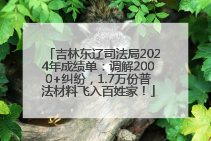 吉林东辽司法局2024年成绩单：调解2000+纠纷，1.7万份普法材料飞入百姓家！