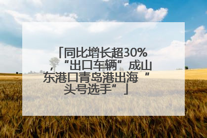 同比增长超30%，“出口车辆”成山东港口青岛港出海“头号选手”