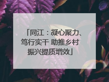 同江：凝心聚力、笃行实干 助推乡村振兴提质增效