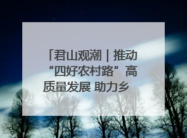君山观潮｜推动“四好农村路”高质量发展 助力乡村振兴出新彩