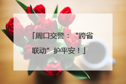 周口交警：“跨省联动”护平安！