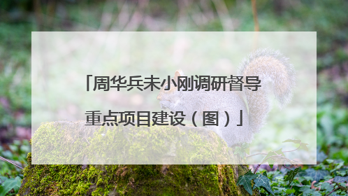 周华兵未小刚调研督导重点项目建设（图）