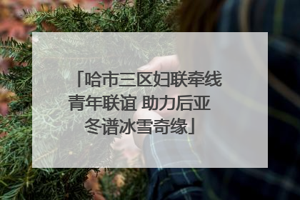 哈市三区妇联牵线青年联谊 助力后亚冬谱冰雪奇缘