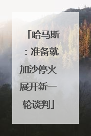 哈马斯：准备就加沙停火展开新一轮谈判