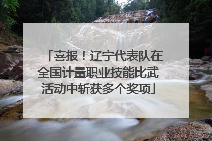 喜报！辽宁代表队在全国计量职业技能比武活动中斩获多个奖项