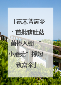 嘉禾普满乡：首批猪肚菇菌棒入棚 “小蘑菇”撑起致富伞