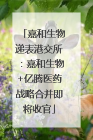 嘉和生物递表港交所：嘉和生物+亿腾医药战略合并即将收官
