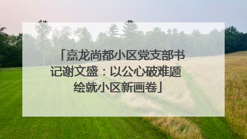 嘉龙尚都小区党支部书记谢文盛：以公心破难题 绘就小区新画卷