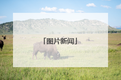 图片新闻
