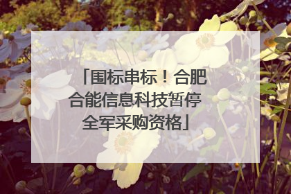 围标串标！合肥合能信息科技暂停全军采购资格