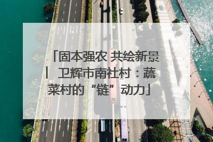 固本强农 共绘新景 ︳卫辉市南社村：蔬菜村的“链”动力