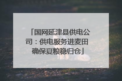 国网延津县供电公司：供电服务进麦田 确保夏粮稳归仓
