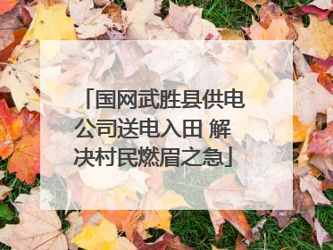 国网武胜县供电公司送电入田 解决村民燃眉之急