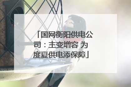 国网衡阳供电公司：主变增容 为度夏供电添保障
