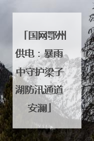 国网鄂州供电：暴雨中守护梁子湖防汛通道安澜
