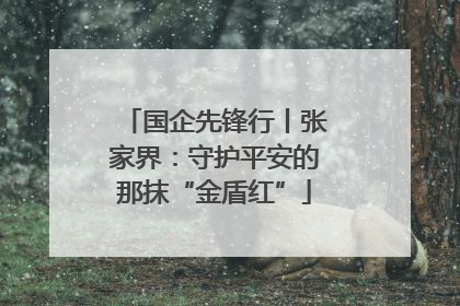 国企先锋行丨张家界：守护平安的那抹“金盾红”