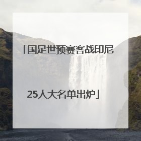 国足世预赛客战印尼25人大名单出炉