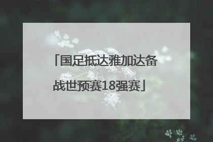 国足抵达雅加达备战世预赛18强赛