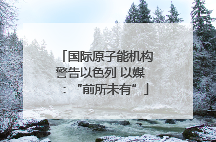 国际原子能机构警告以色列 以媒：“前所未有”