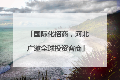国际化招商，河北广邀全球投资客商