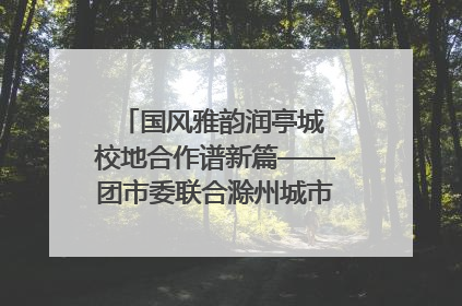 国风雅韵润亭城 校地合作谱新篇——团市委联合滁州城市职业学院助力传统文化“破圈”绽放
