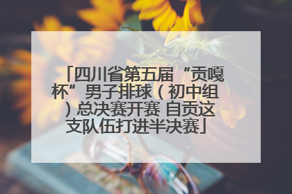 四川省第五届“贡嘎杯”男子排球（初中组）总决赛开赛 自贡这支队伍打进半决赛