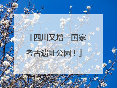四川又增一国家考古遗址公园！