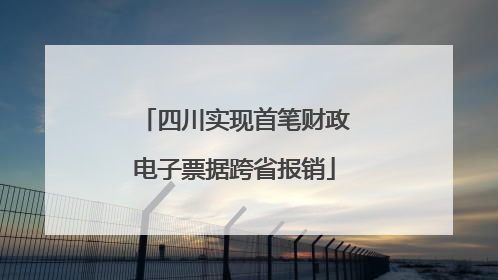 四川实现首笔财政电子票据跨省报销