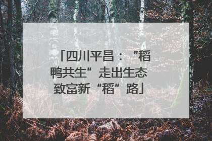 四川平昌：“稻鸭共生”走出生态致富新“稻”路