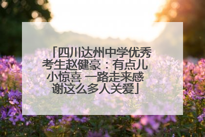 四川达州中学优秀考生赵健豪：有点儿小惊喜 一路走来感谢这么多人关爱