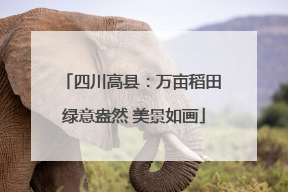 四川高县：万亩稻田绿意盎然 美景如画