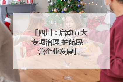 四川：启动五大专项治理 护航民营企业发展