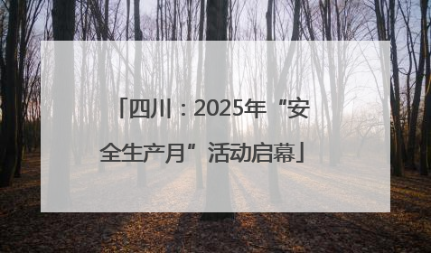 四川：2025年“安全生产月”活动启幕