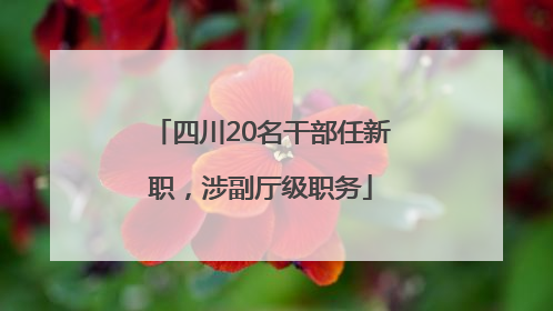 四川20名干部任新职，涉副厅级职务